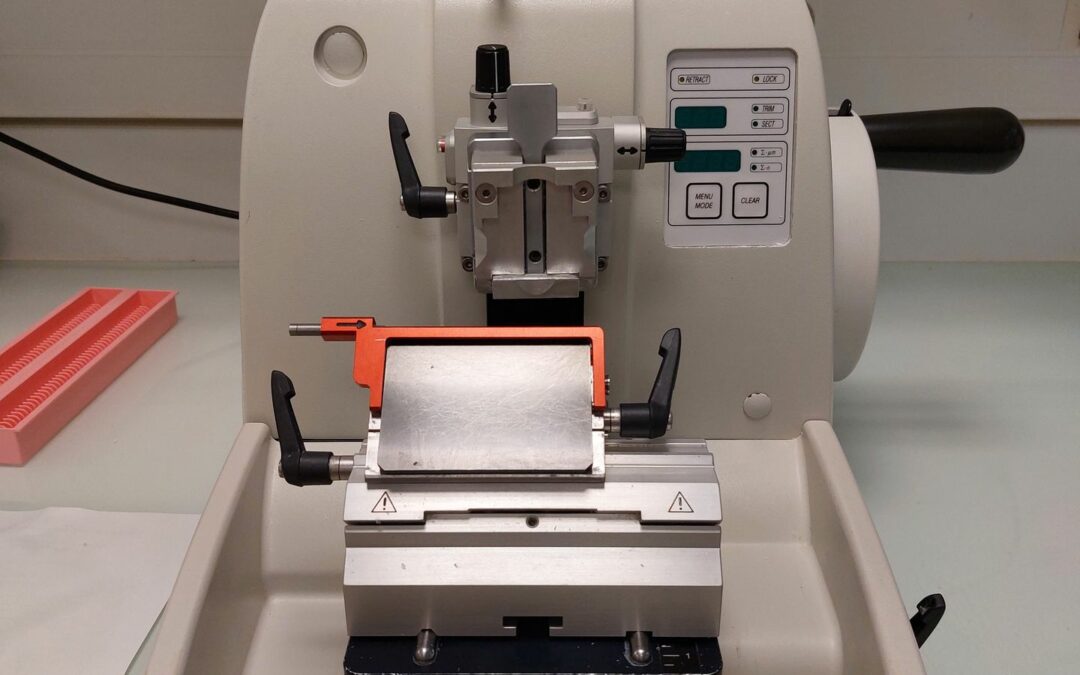 Microtome Leica RM2145