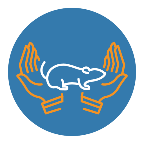 3R, Éthique et Réglementation - CREFRE INSERM