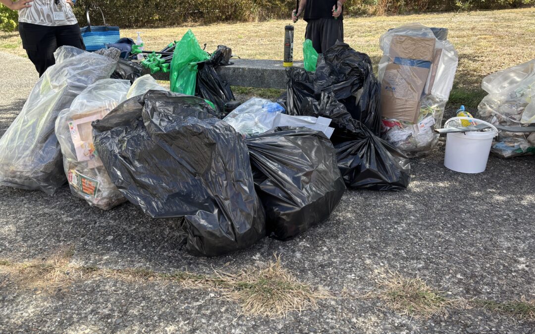 World Cleanup Day 2026 !
